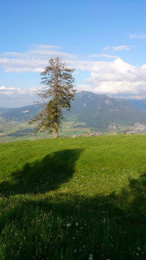 Ferienwohnung Schoenau Immenstadt im Allgäu Exteriér fotografie